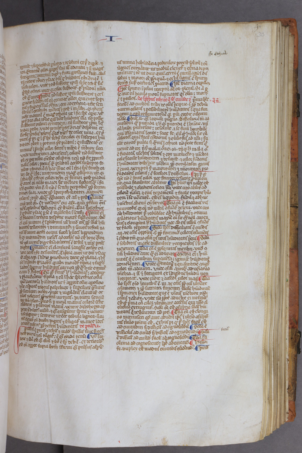 Folio 30 recto